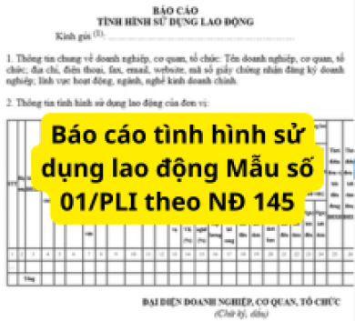 Mẫu 05 - khai trình việc sử dụng lao động khi mới bắt đầu hoạt động theo TT 23