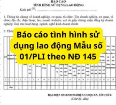 Báo cáo tình hình sử dụng lao động Mẫu số 01/PLI theo NĐ 145